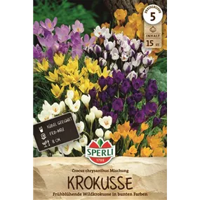 Crocus chrysanthus Mischung