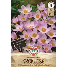Crocus sieberi Firefly