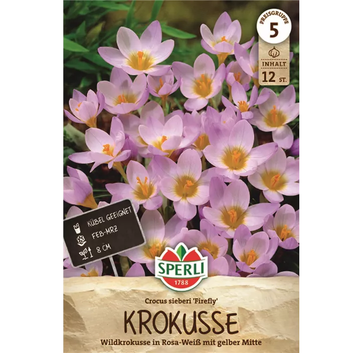 Garten-Krokus 'Firefly'