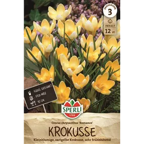 Crocus sieberi Romance