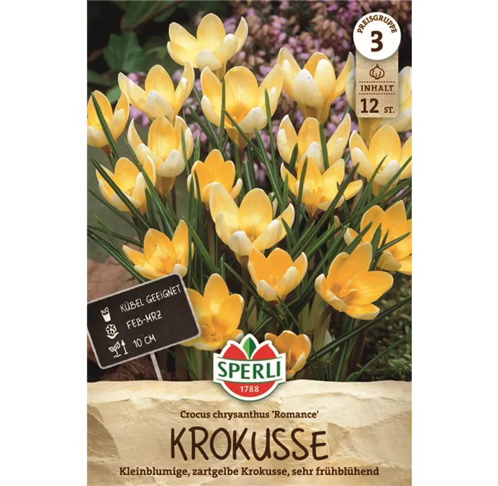 Kleiner Garten-Krokus 'Romance'