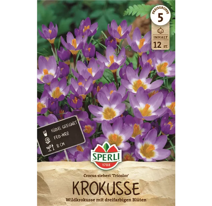 Krokus 'Tricolor'