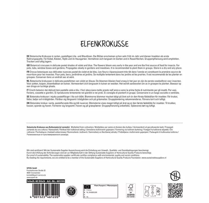 Elfen-Krokus