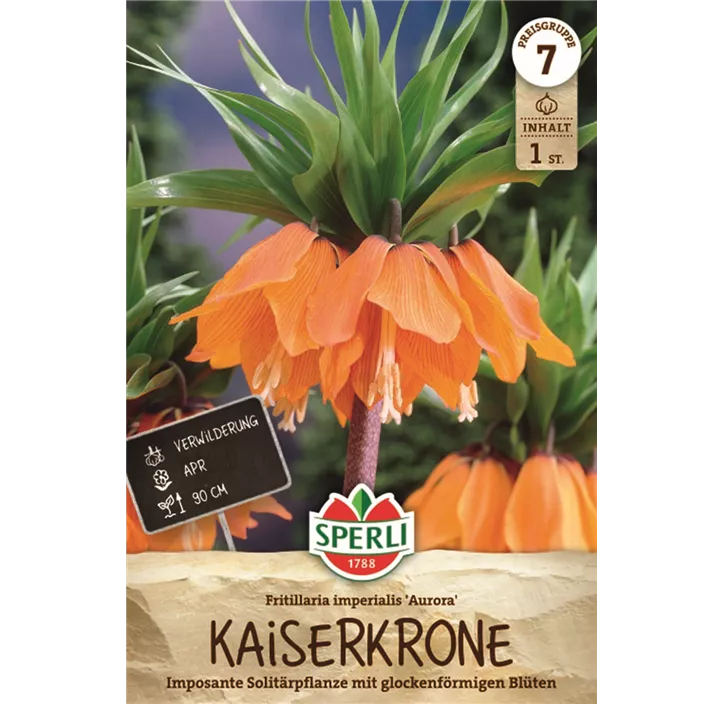 Kaiserkrone 'Aurora'