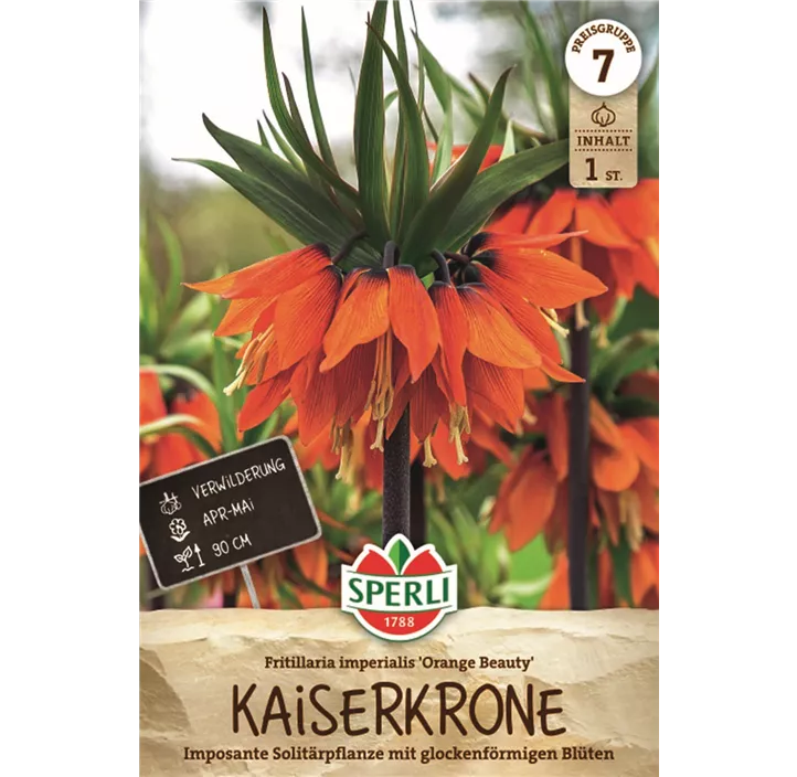 Kaiserkrone 'Orange Beauty'