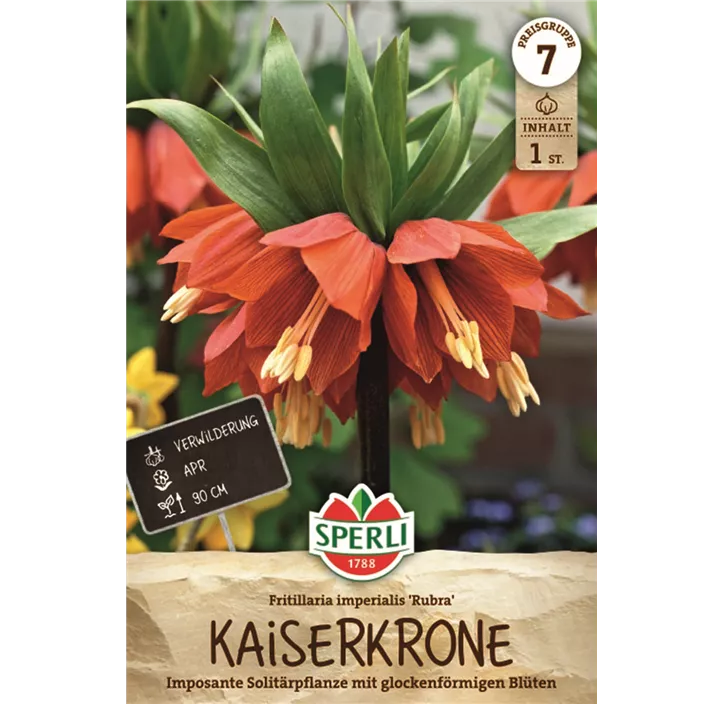 Kaiserkrone 'Rubra'