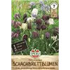 bellaflora Gartencenter GmbH