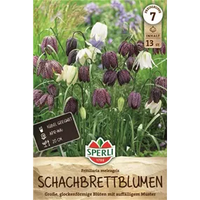 Fritillaria meleagris