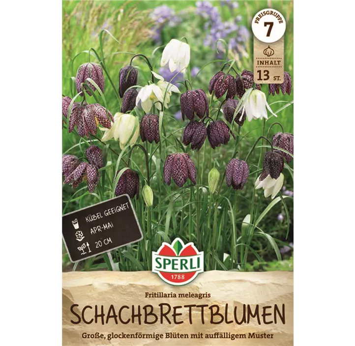 Gewöhnliche Schachblume