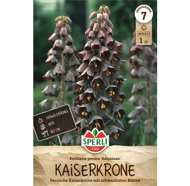 Garten-Kaiserkrone 'Adiyaman'