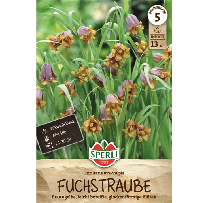 Fuchstraube