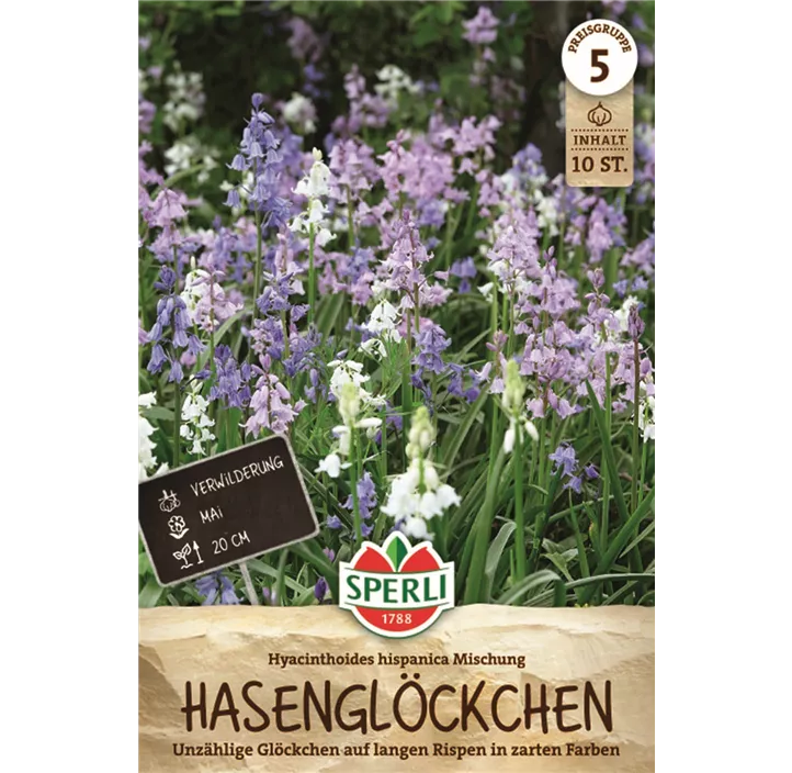 Spanisches Hasenglöckchen