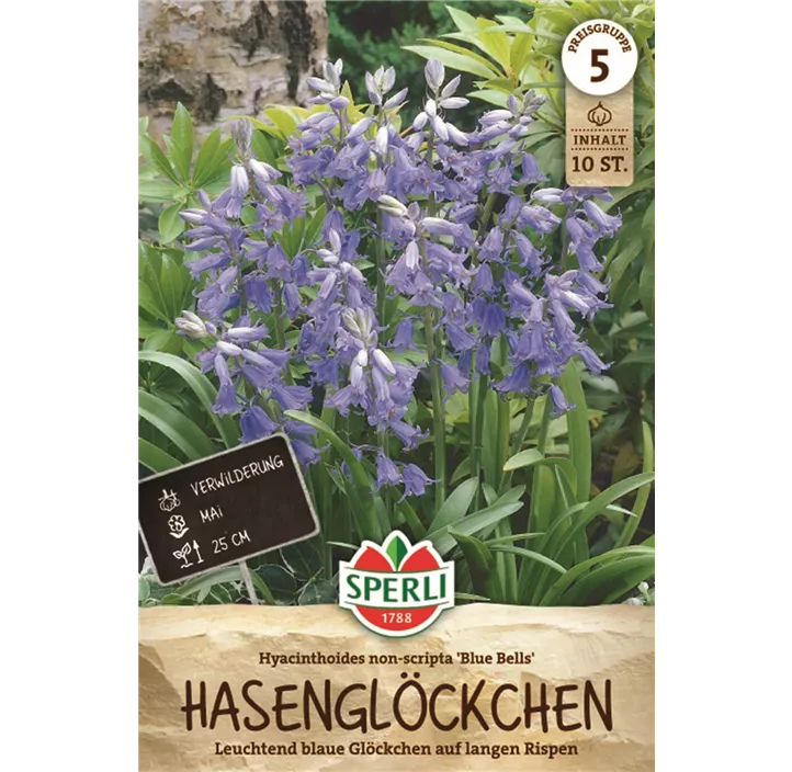 Hasenglöckchen 'Blue Bells'