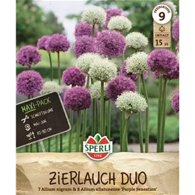 Maxipack Zierlauch Duo