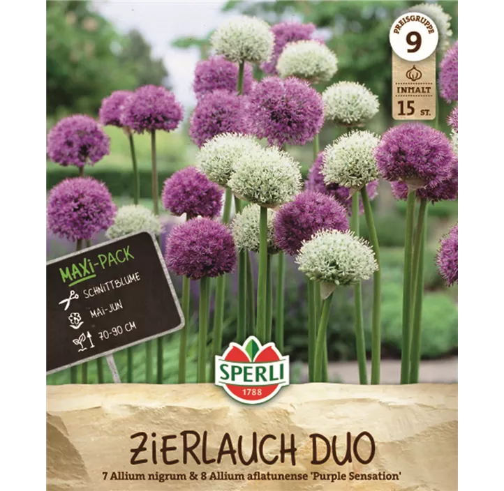 Maxipack Zierlauch Duo