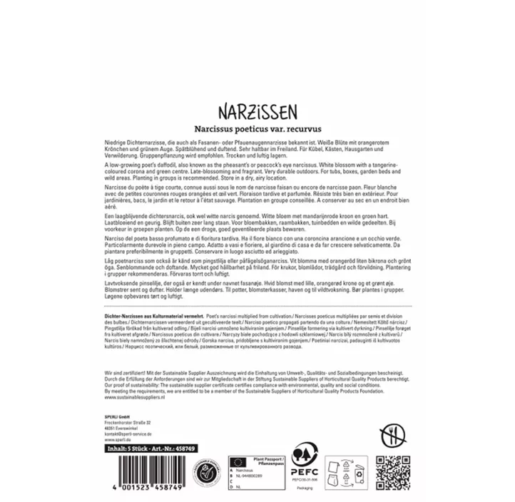 Dichter-Narzisse