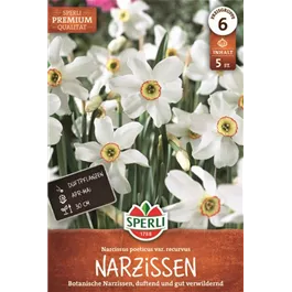 Narcissus poeticus subsp. poeticus