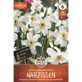 Narcissus poeticus subsp. poeticus