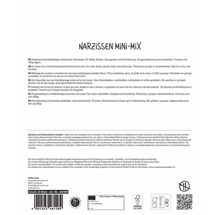 Garten-Trompeten-Narzisse