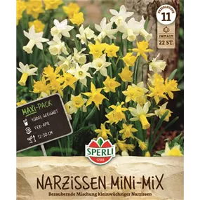 Narcissus pseudonarcissus
