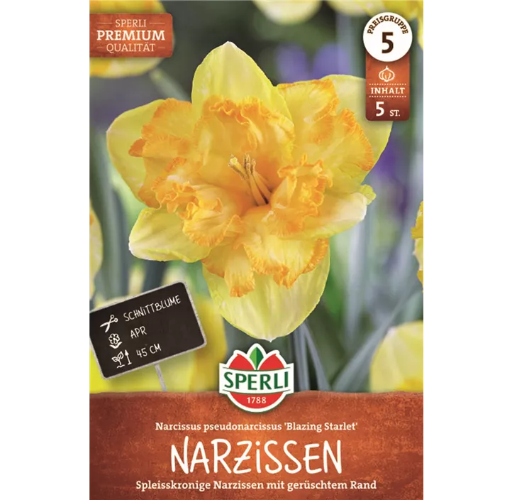 Schmetterlings-Narzisse 'Blazing Starlet'