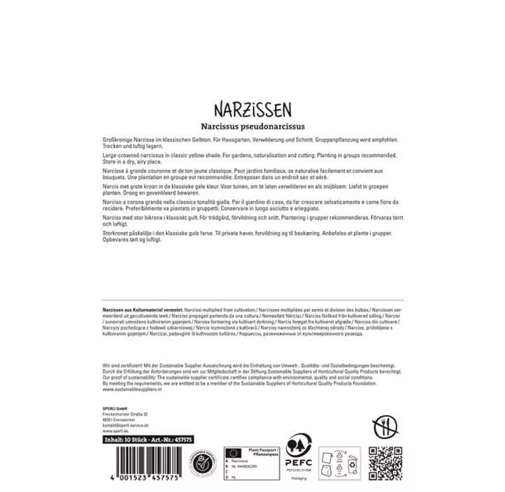 Großkronige Narzisse 'Carlton'