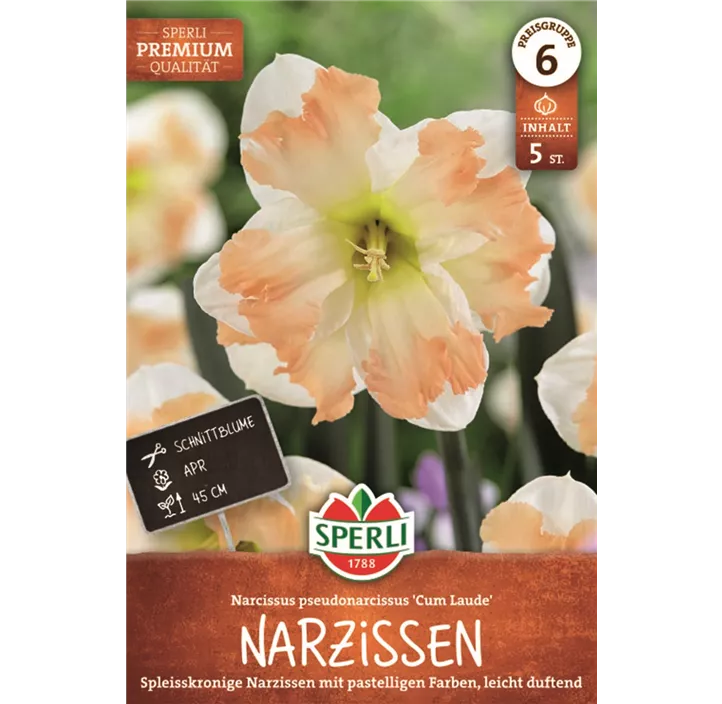 Narzissen 'Cum Laude'