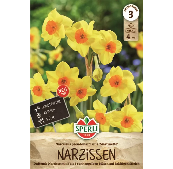 Narzisse 'Martinette'