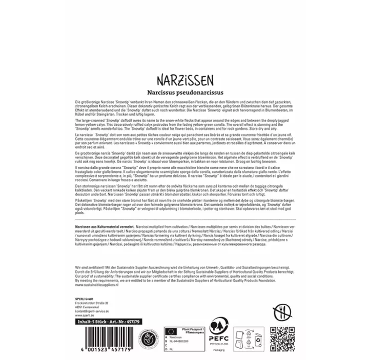 Narzissen Snowtip