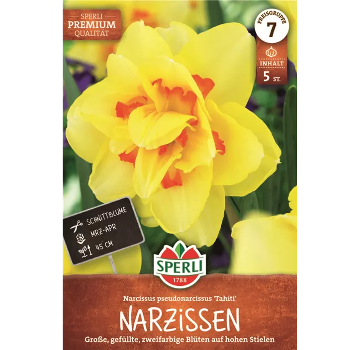 Narzisse 'Tahiti'