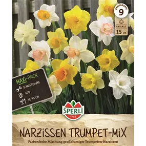 Narcissus pseudonarcissus Mix