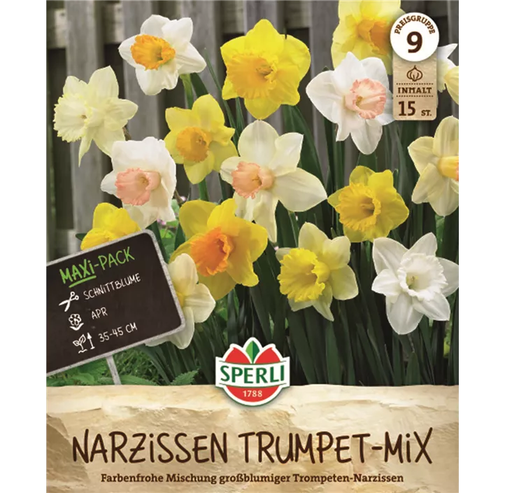 Garten-Trompeten-Narzisse Mischung