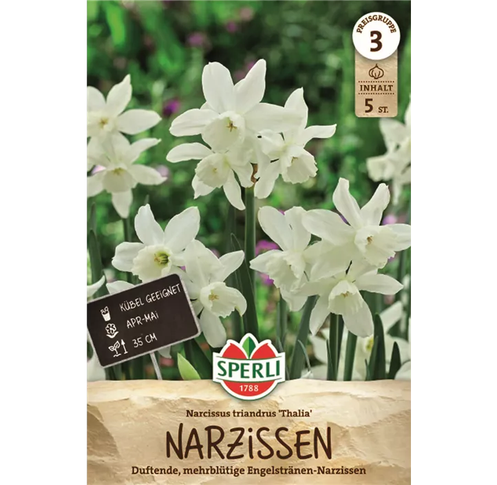 Triandus-Narzisse 'Thalia'