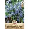 bellaflora Gartencenter GmbH