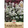 bellaflora Gartencenter GmbH