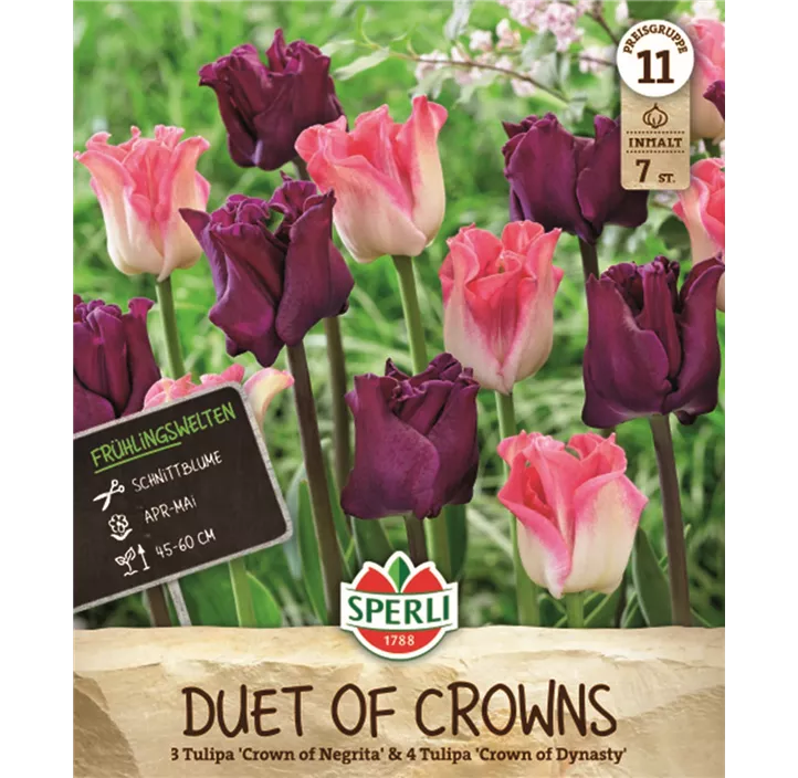 Tulpen 'Duet of Crowns'