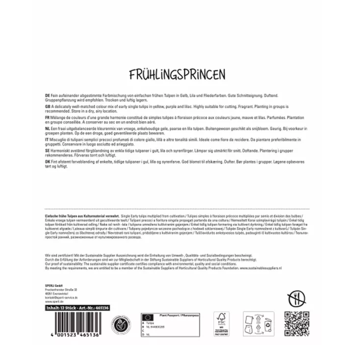 Tulpen Frühlings-Princen