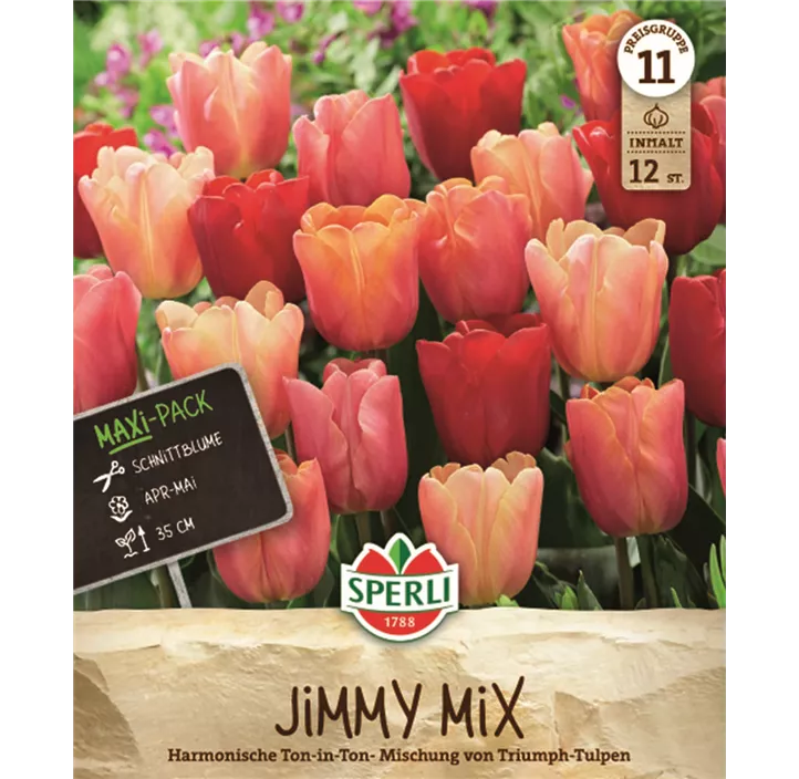 Triumph-Tulpenmischung 'Jimmy'