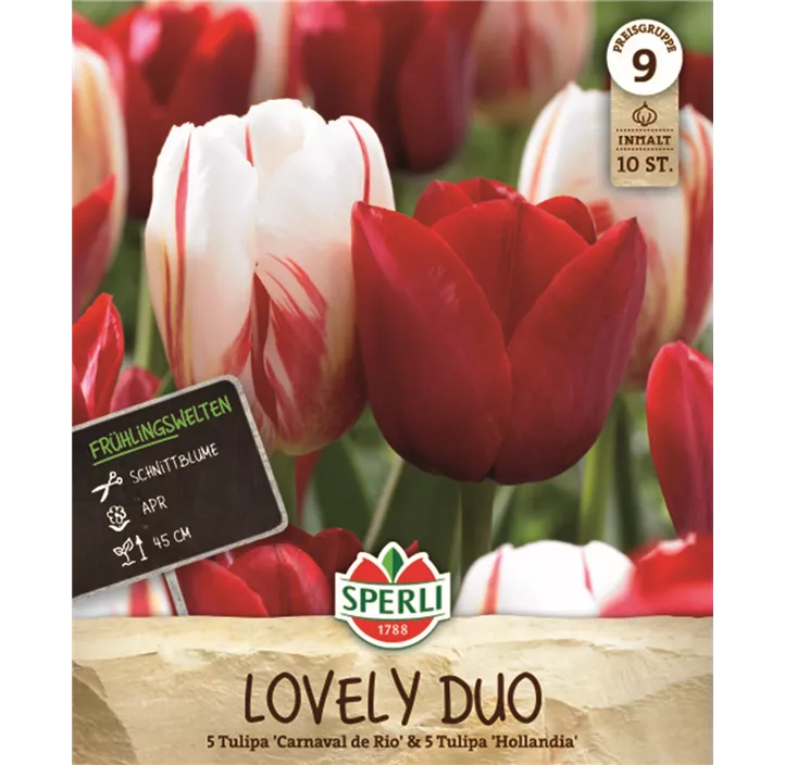 Tulpen Lovely Duo