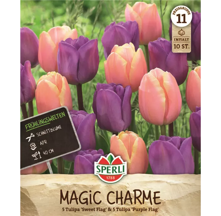 Tulpen Magic Charme