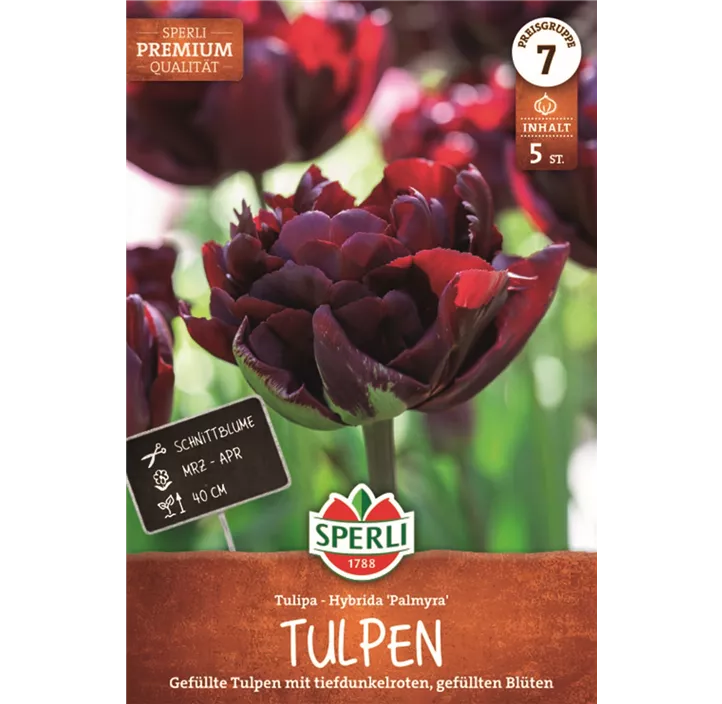 Gefüllte Frühe Tulpe 'Palmyra'