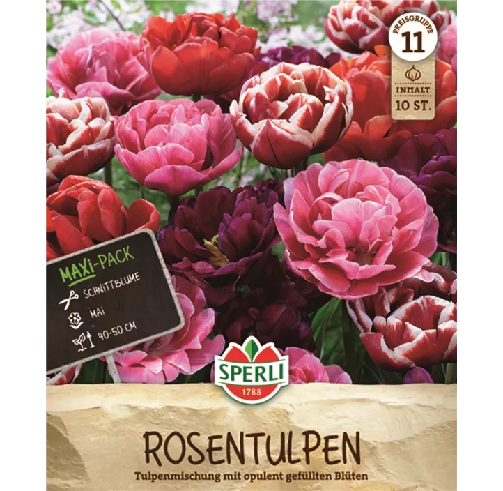 Tulpen Rosentulpen-Mischung