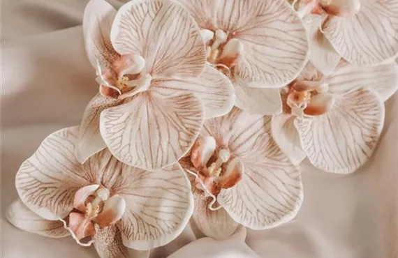 Kunstblume Orchidee Kunstblume Orchidee