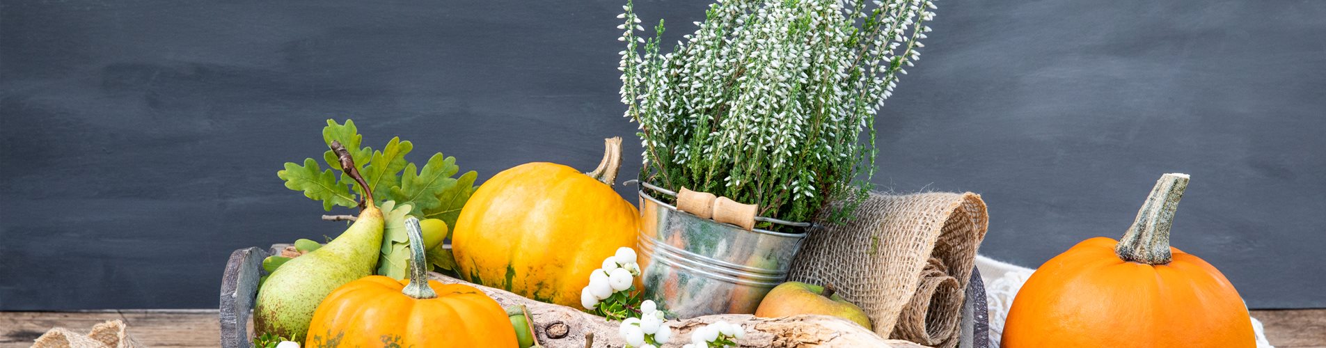 Herbstdeko - Kürbisse und Heide