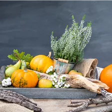 Herbstdekoration