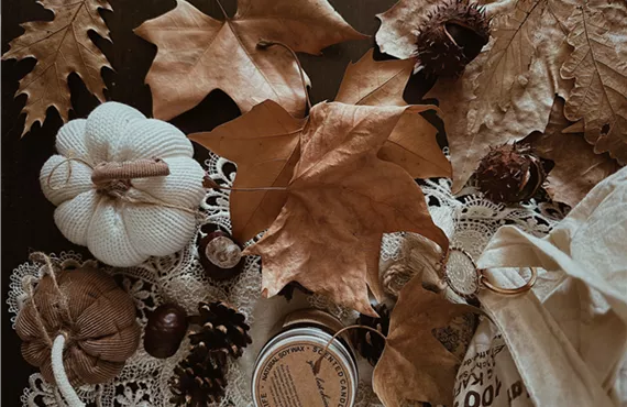 Herbstdeko beige Herbstdeko beige