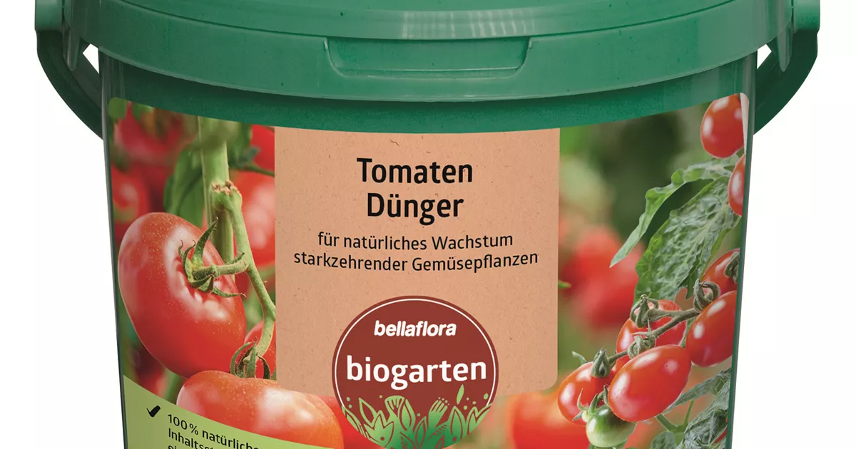 Tomatendnger - Bellaflora