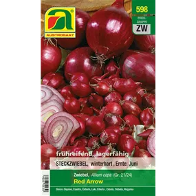 Wintersteckzwiebel rot