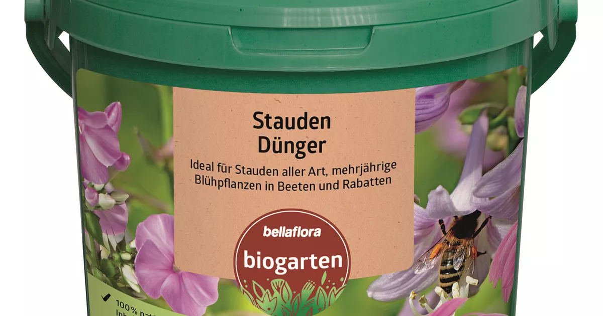 Staudendnger - Bellaflora