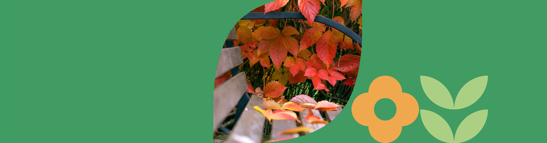 Herbst Header neu Herbst Header neu